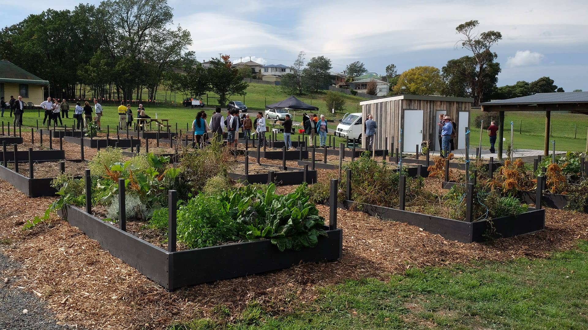 Community Garden
