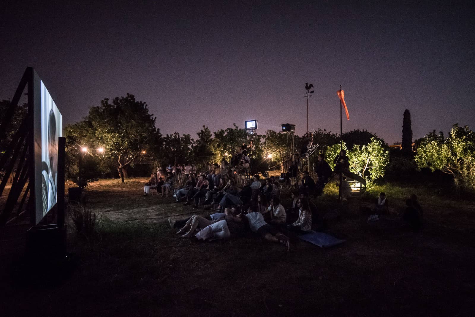 Outdoor Movie Screenings