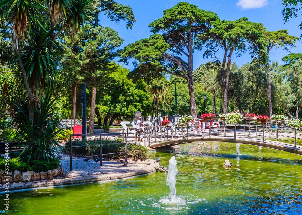 Serene Pond and Fountain