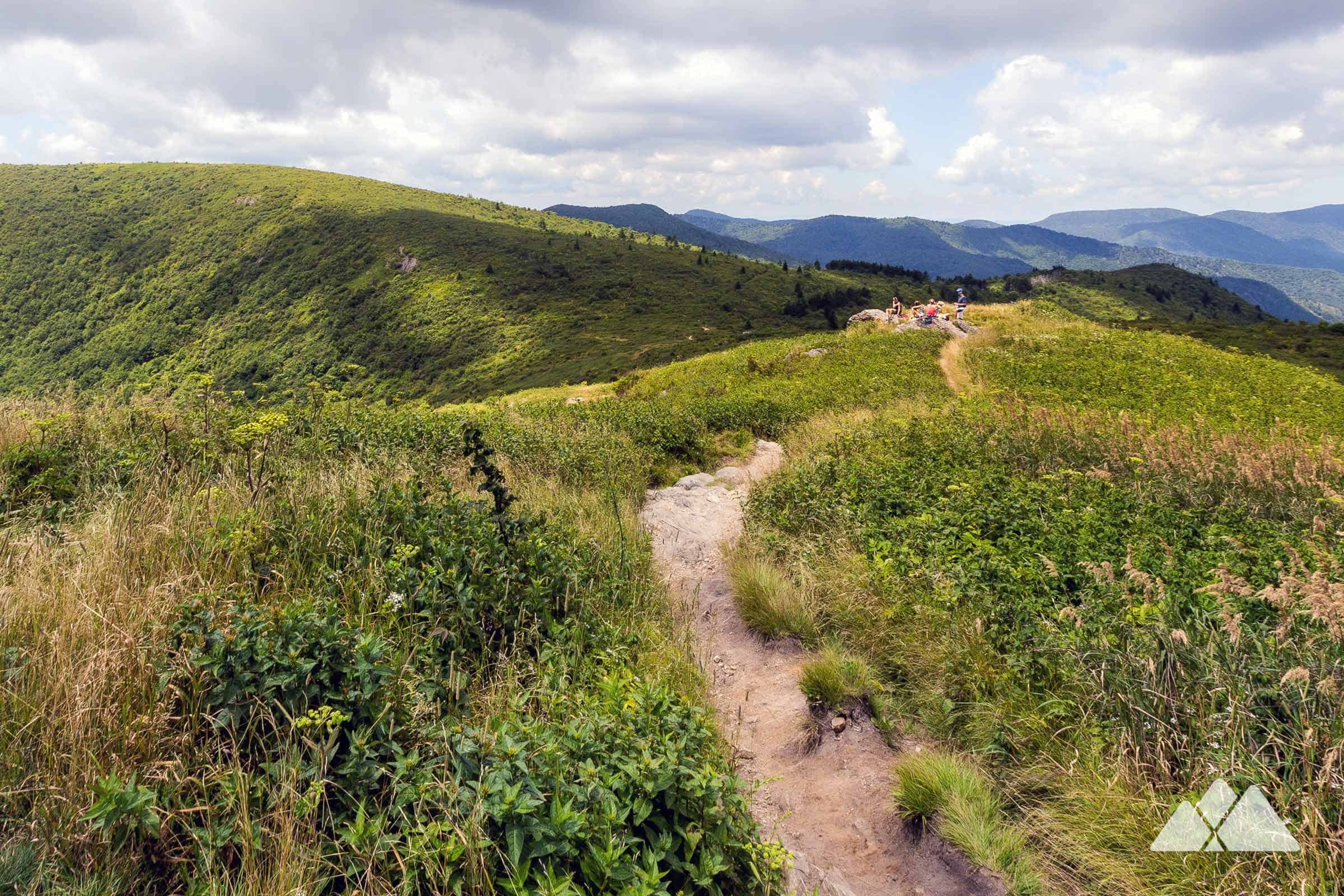 Art Loeb Trail Section