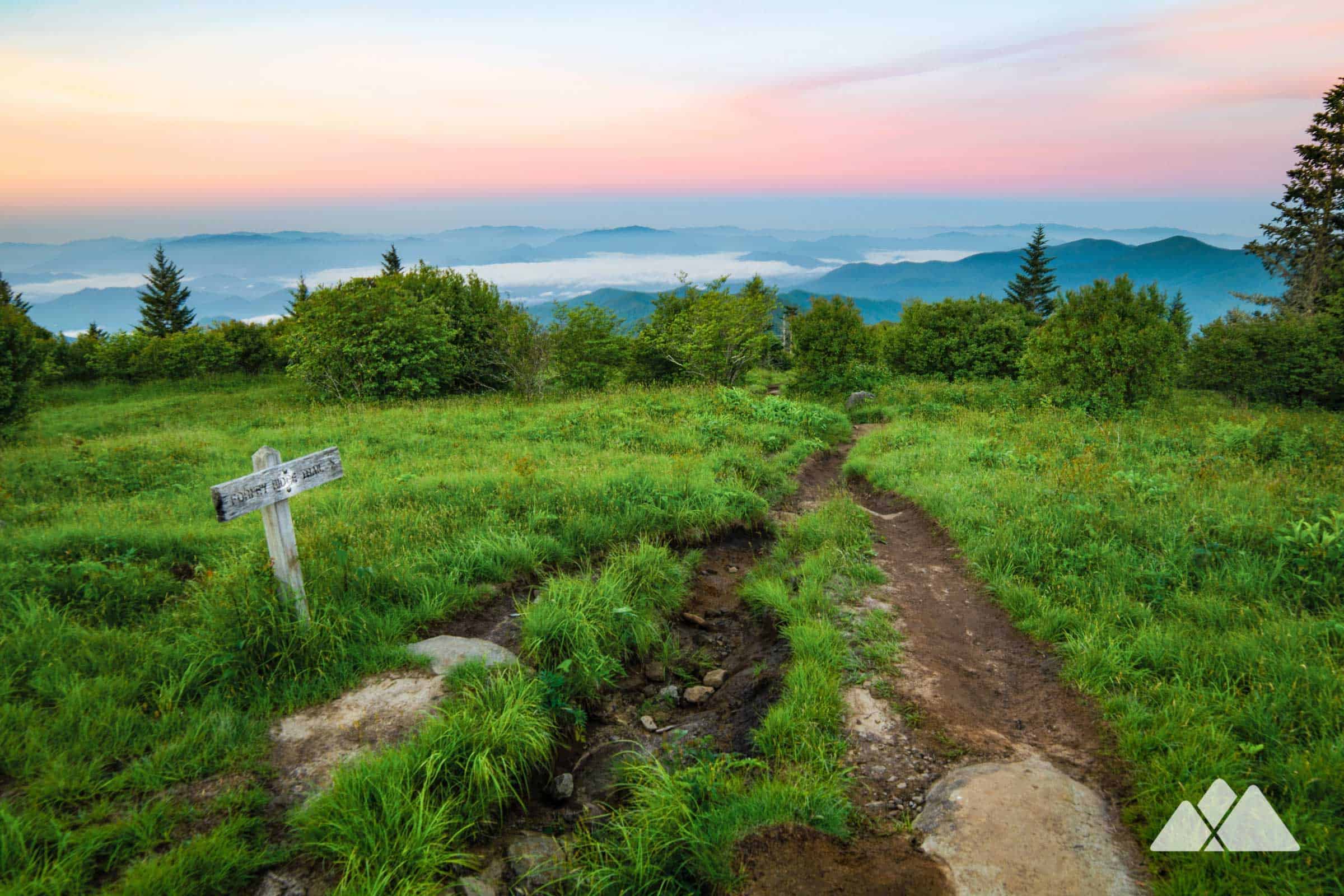 Forney Ridge Trail to Andrews Bald