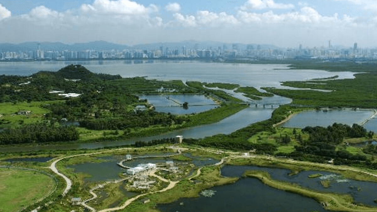 Shrimp Ponds & Marshes