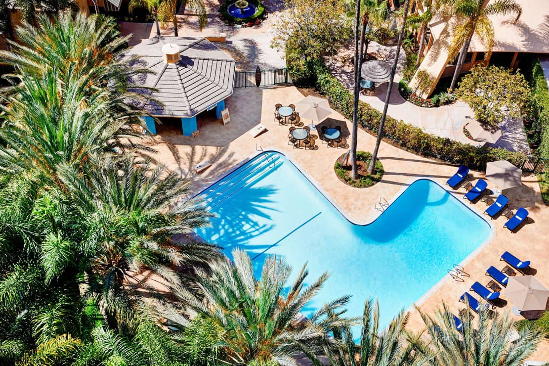 Olympic-Sized Swimming Pool