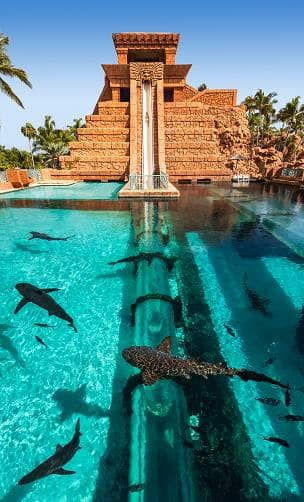 Shark Tank Waterslide
