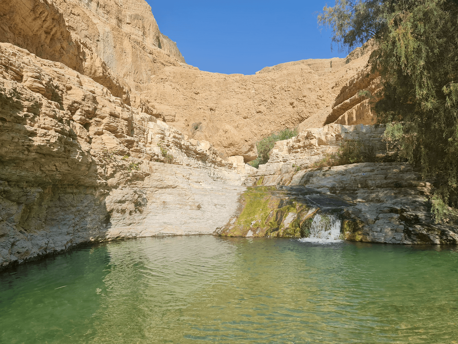 Nahal Arugot Trails