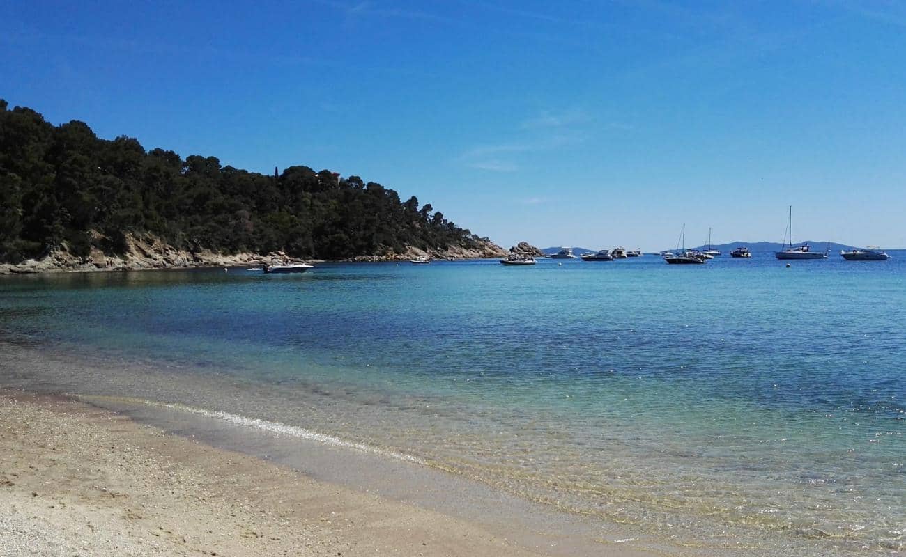 Secluded Beach Access