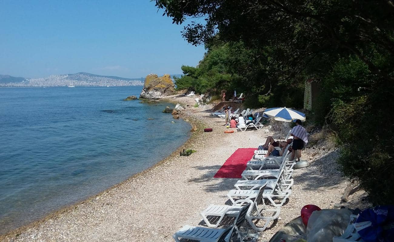 Düşler Sahili