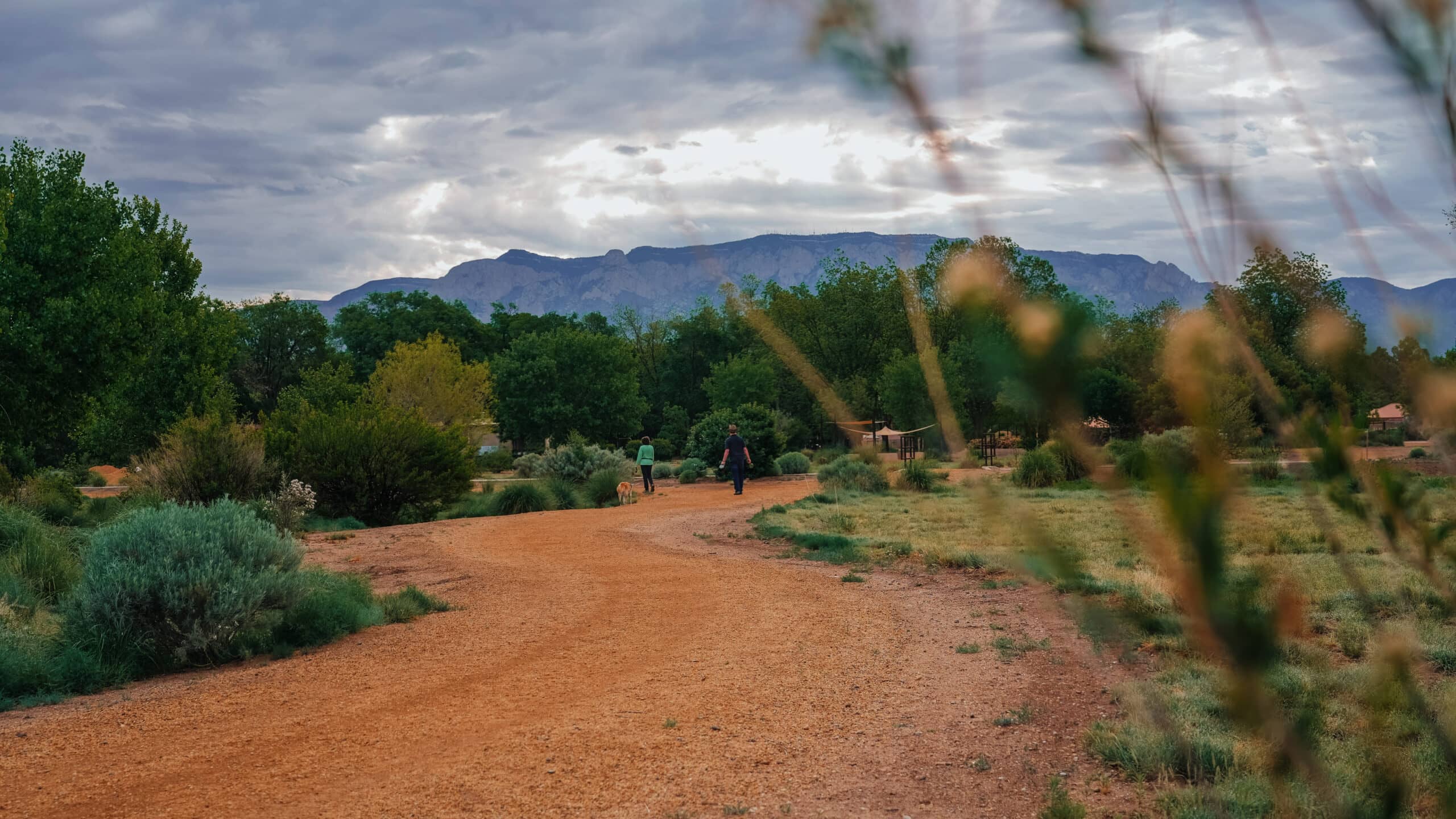 Shady Trails & Bosque Access