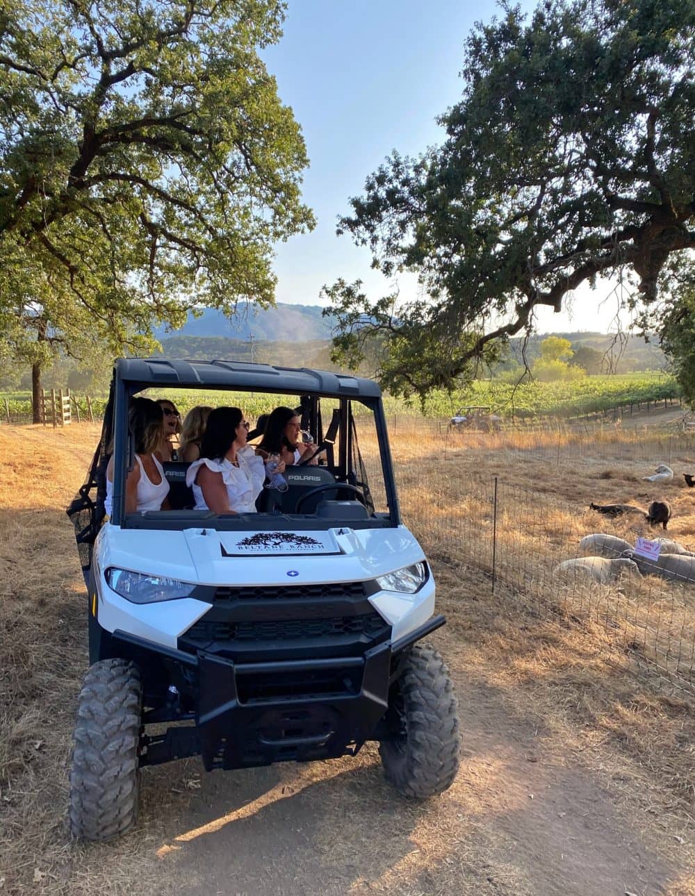Beltane Ranch