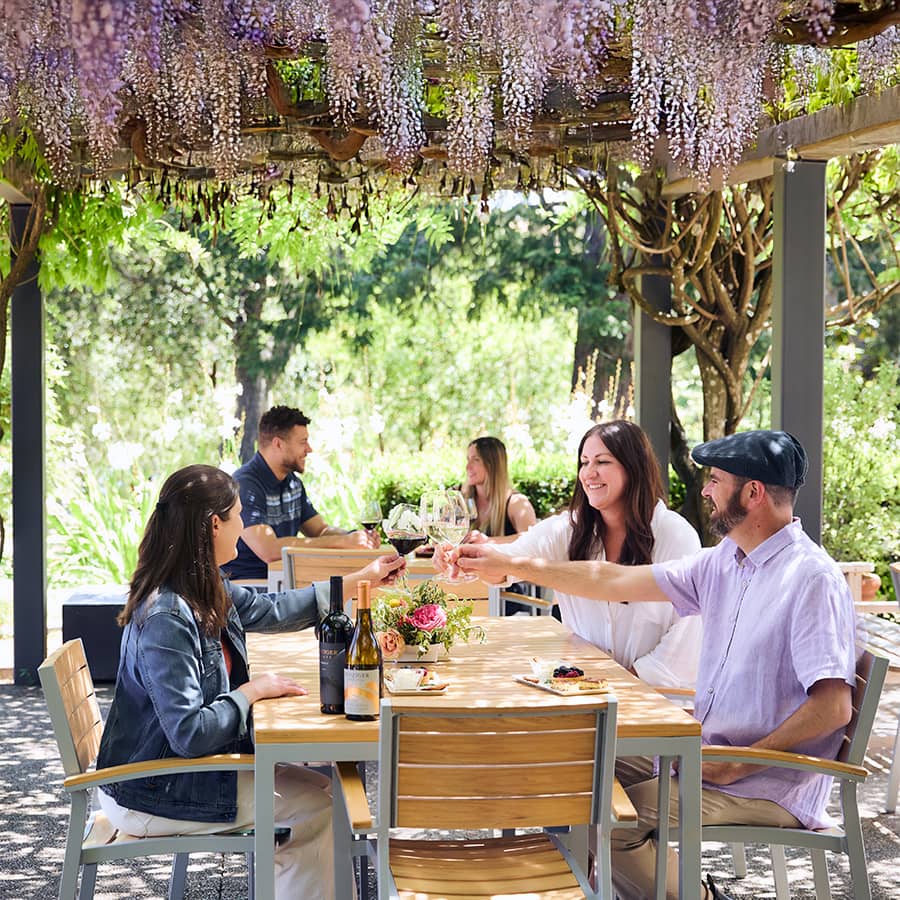 Vineyard Views and Wine Tasting