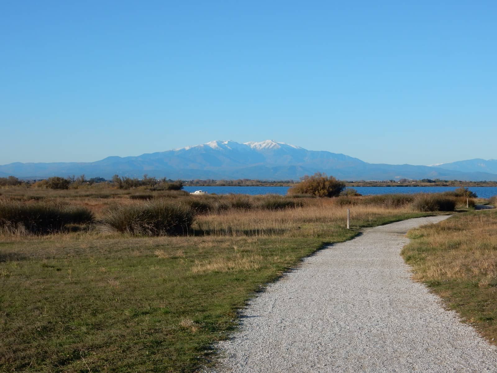 Scenic Strolls