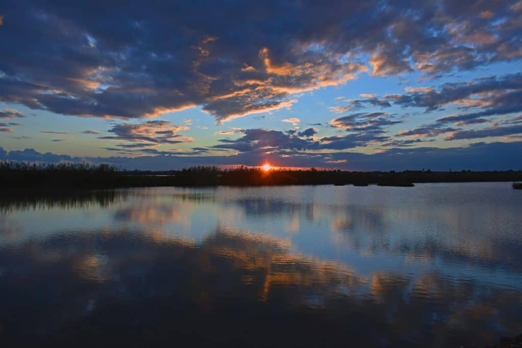 Birdwatching Paradise