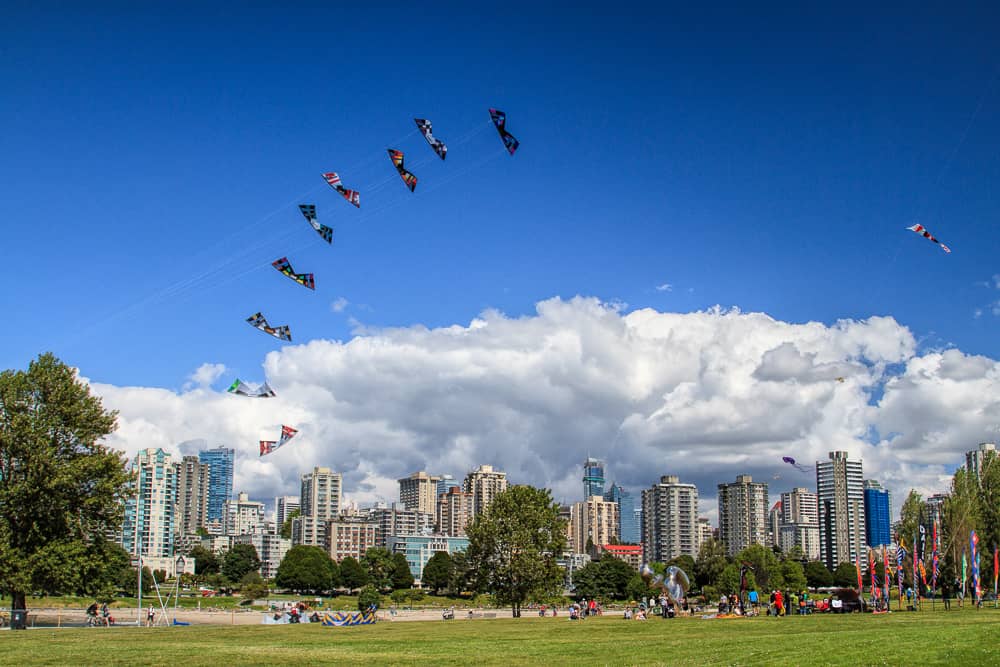 Kite Flying & Picnics