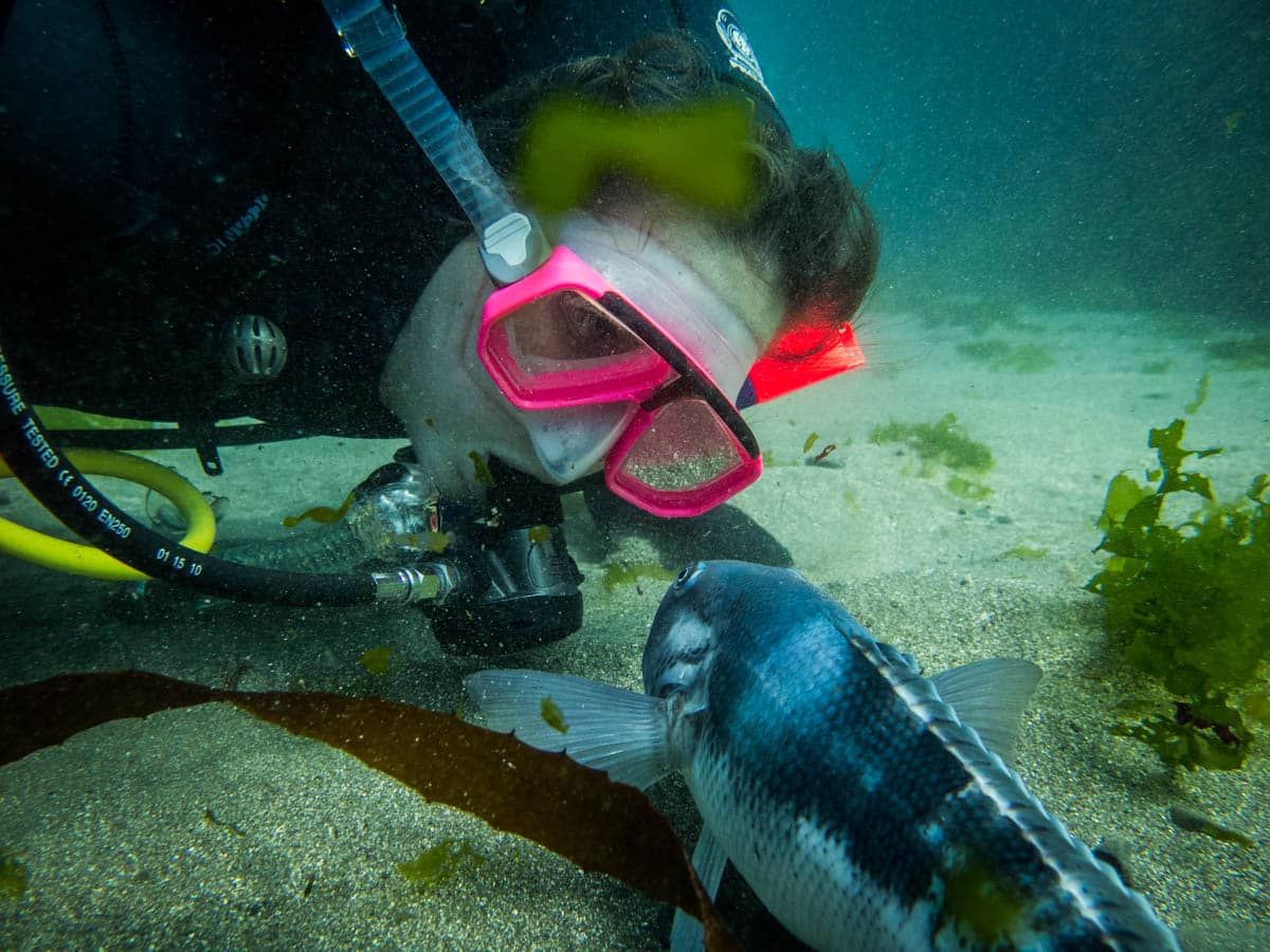 Underwater Exploration