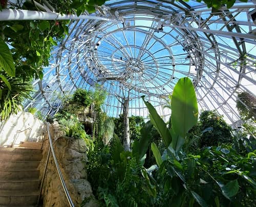 Cockrell Butterfly Center