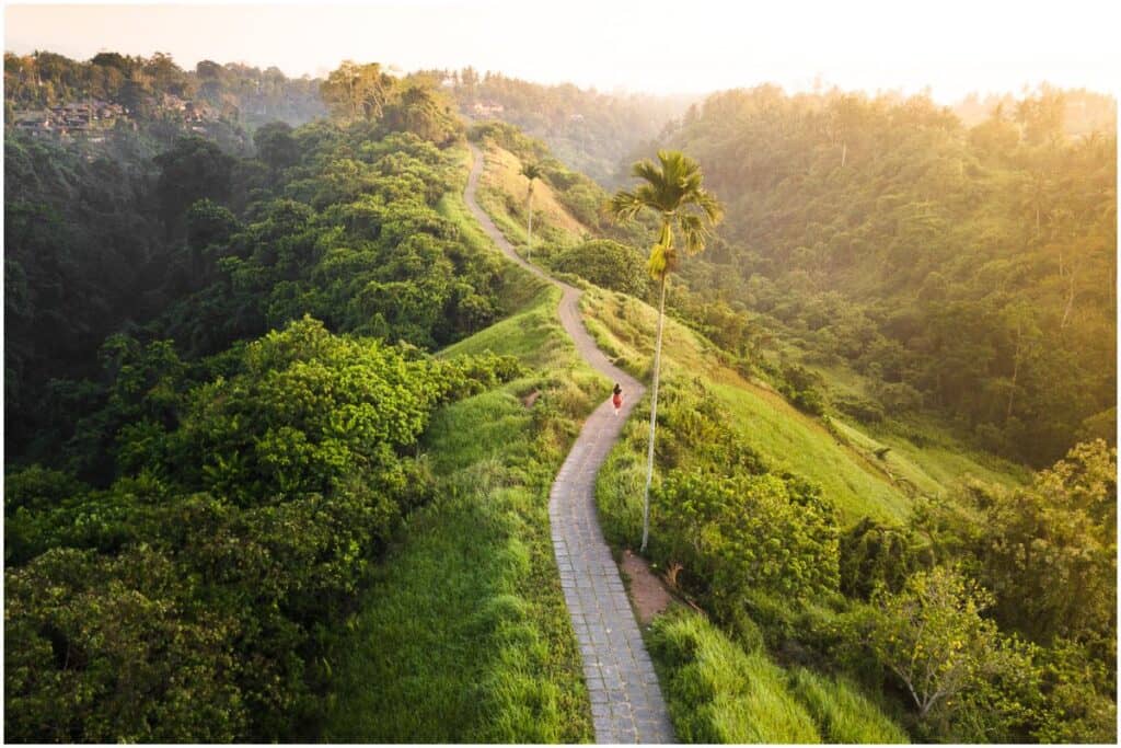 Tranquil Paved Pathway