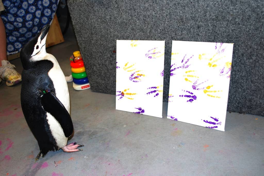Penguin Art