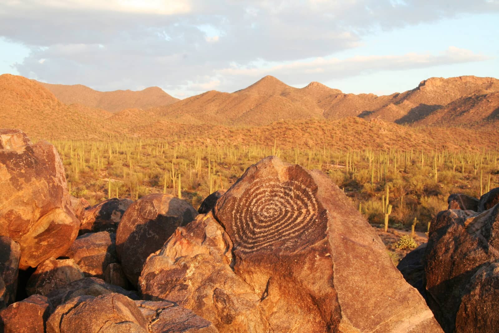 Indigenous Influences