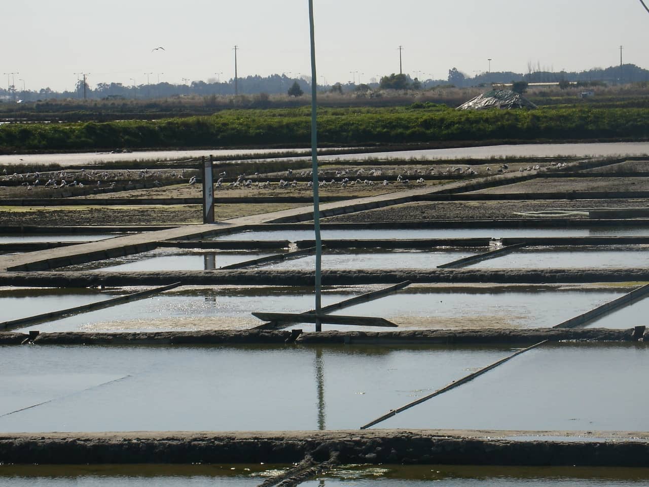 Historical Salt Production