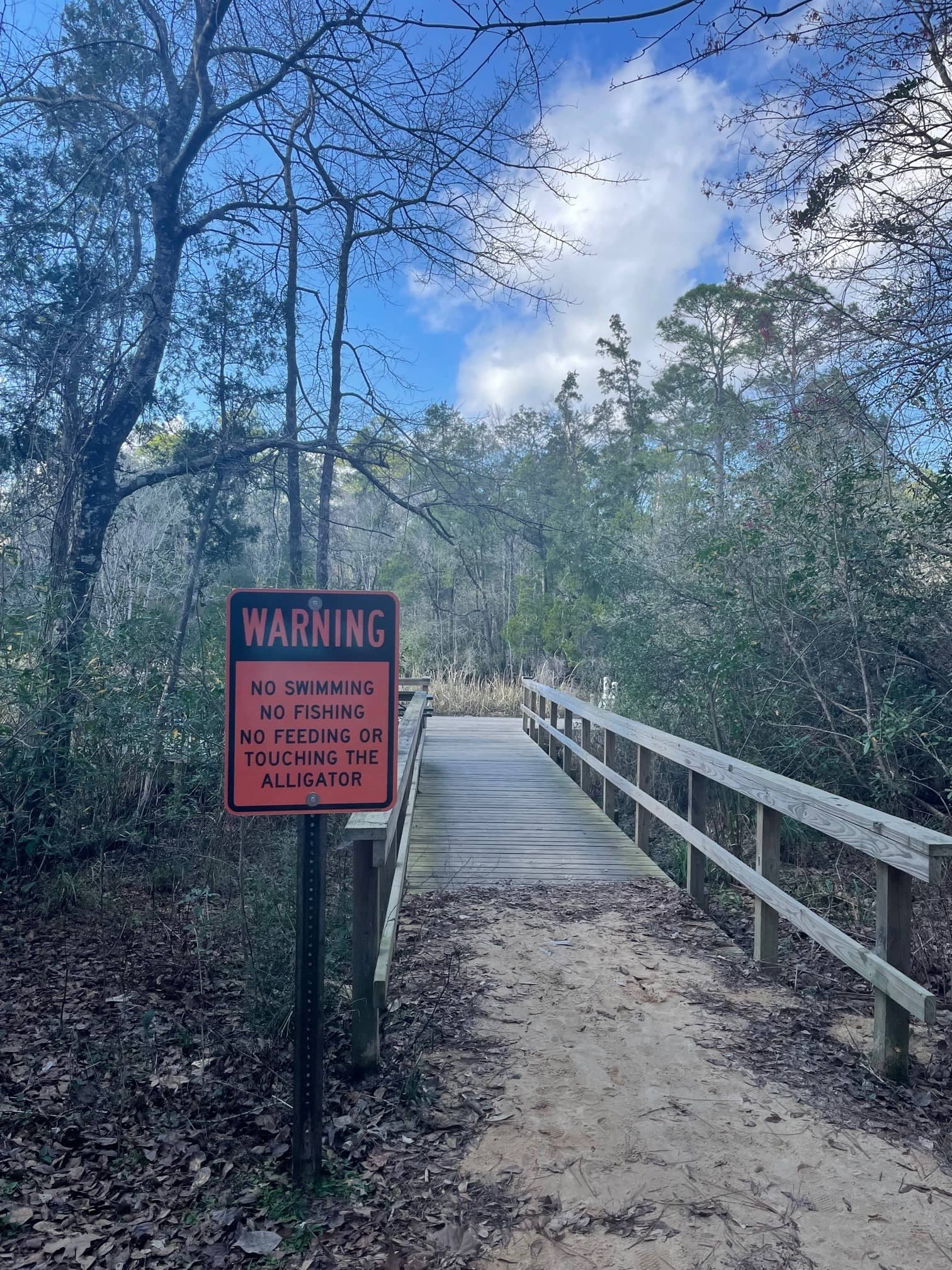 Local Wildlife Encounters