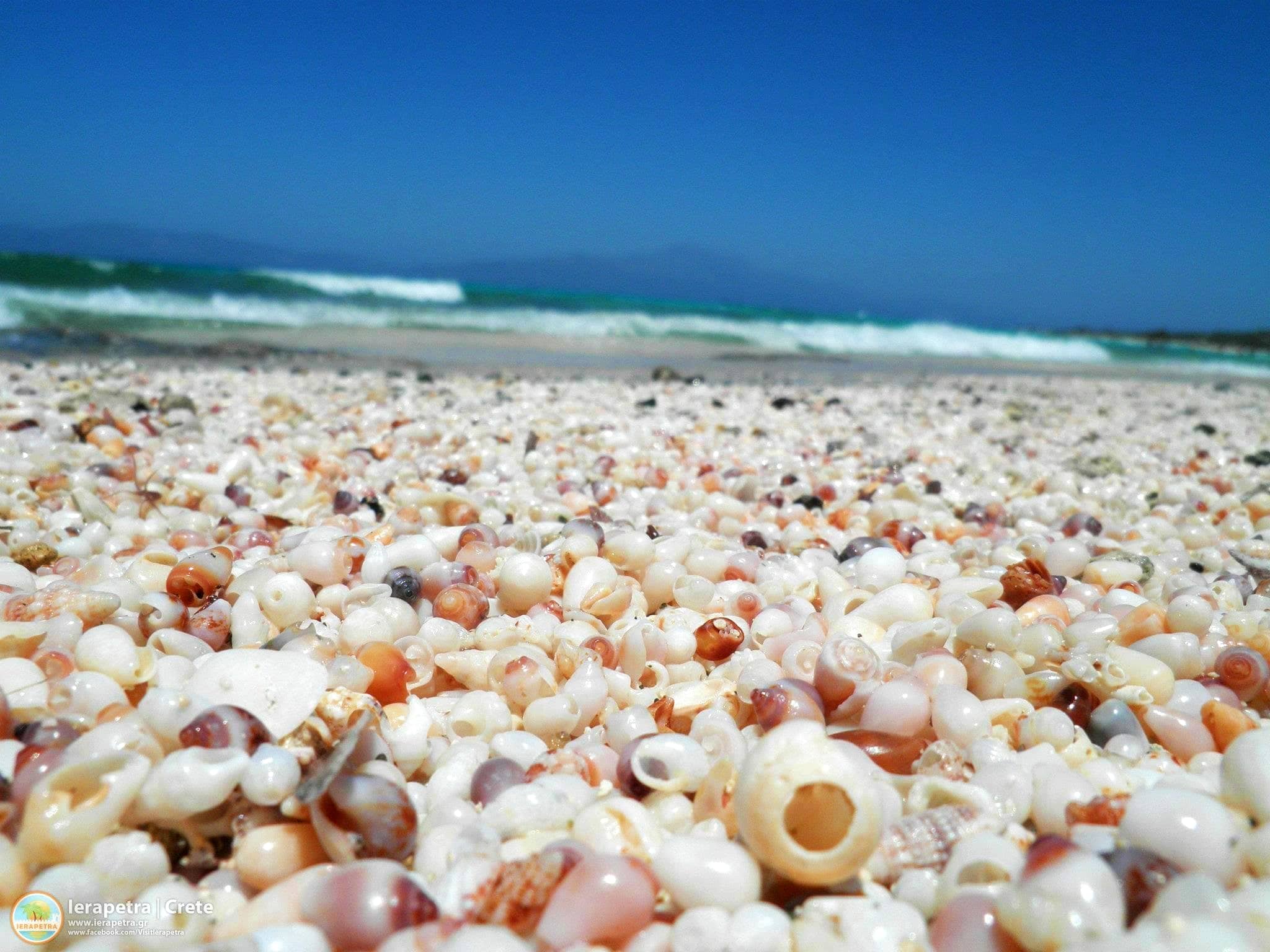 Shell Beach