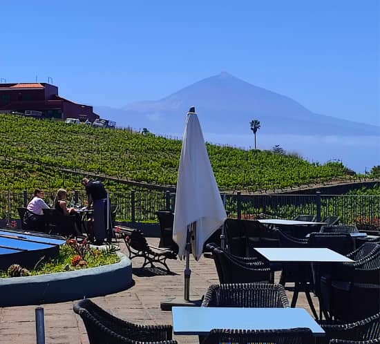 Scenic Terrace Views