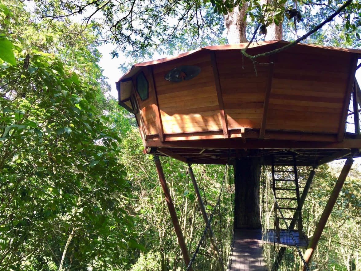 Overnight in a Treehouse