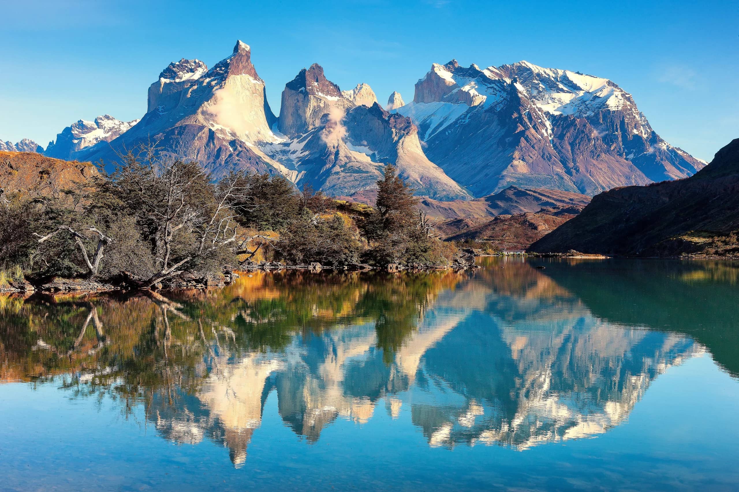 Patagonian Forest Trail