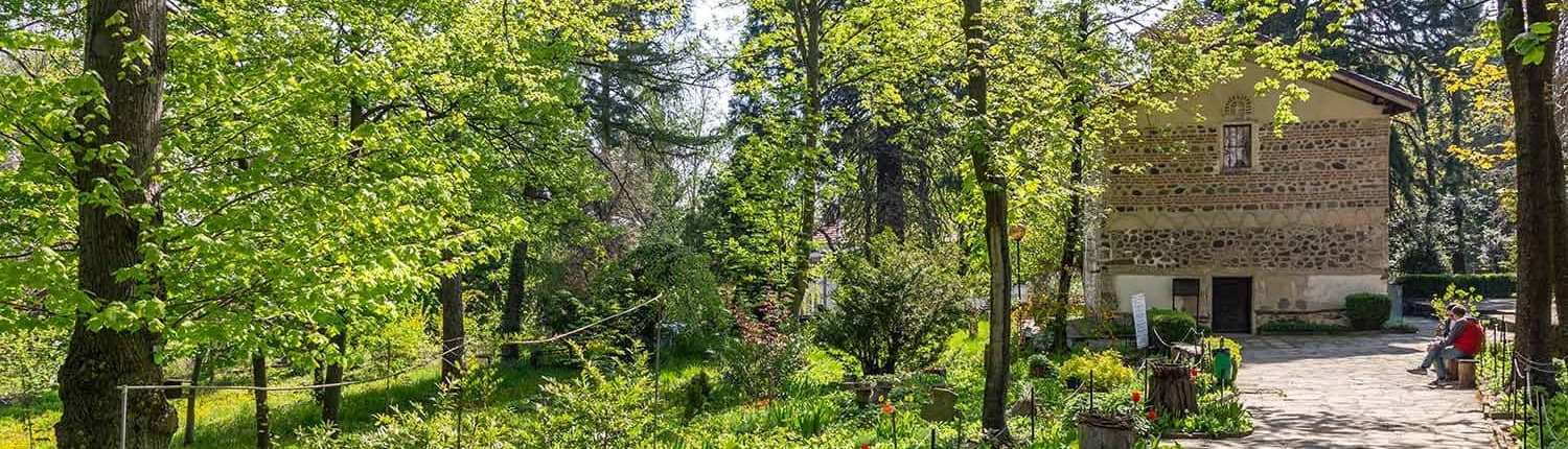 Peaceful Garden Setting