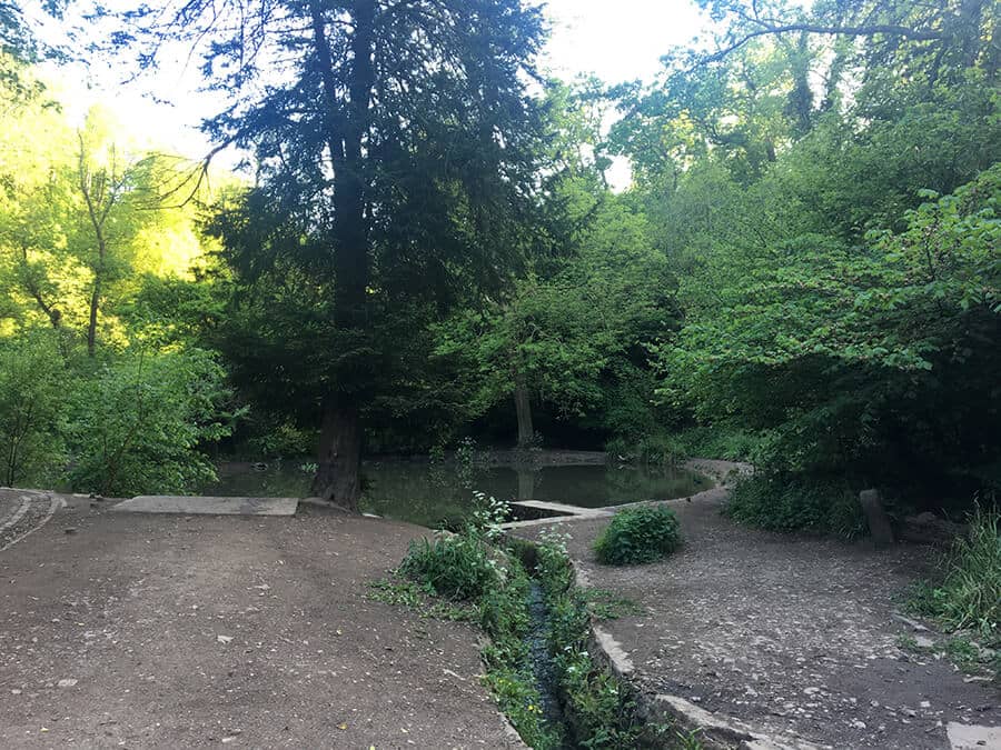Woodland Walks