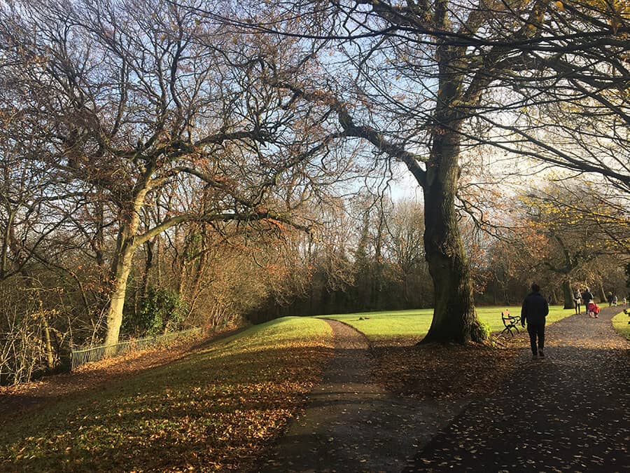Woodland Walking Trails