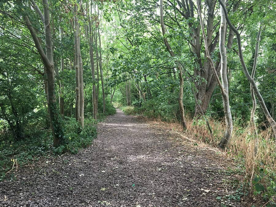 Woodland Trails