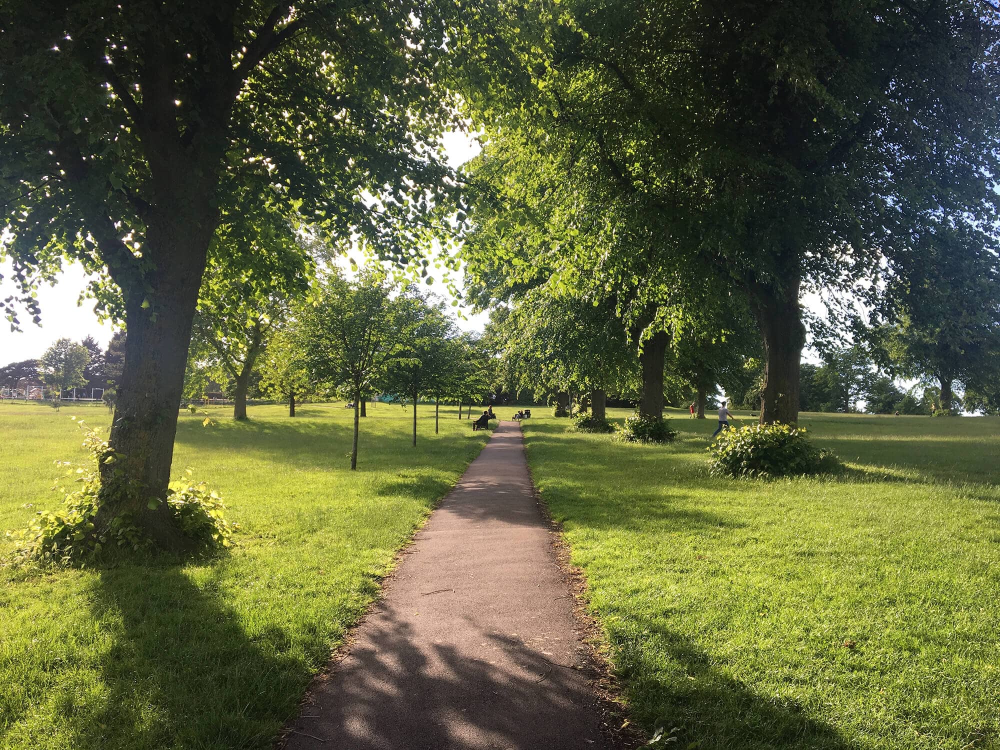 Peaceful Dog Walking Trails