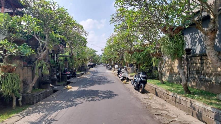 Local Village Charm