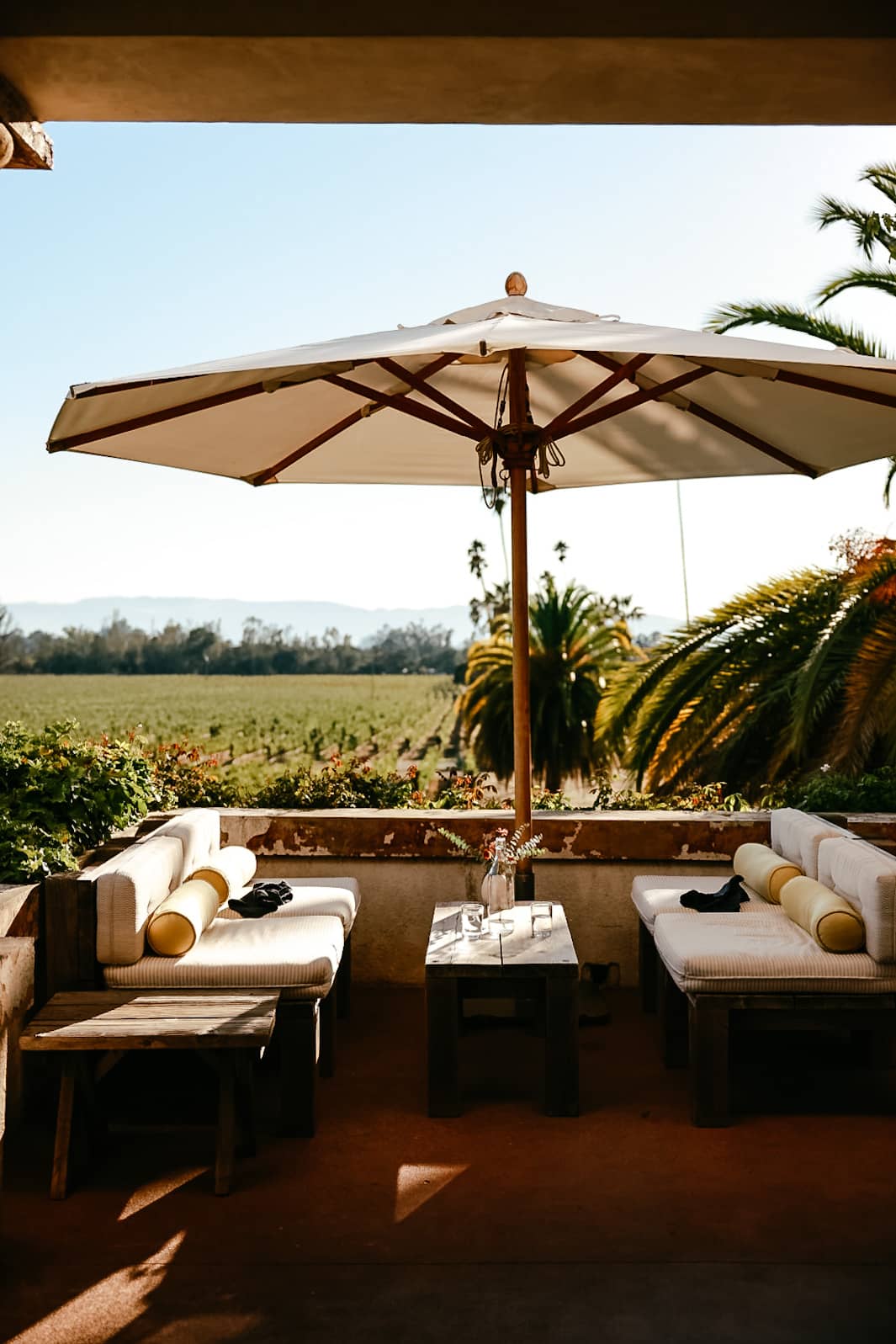 Hacienda Experience