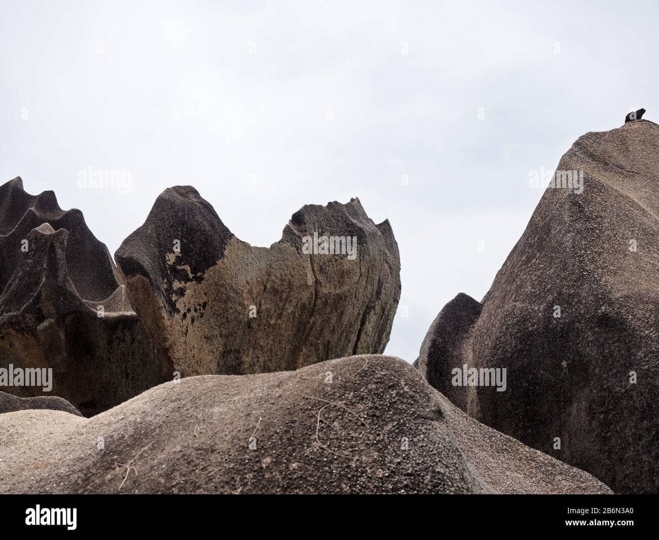 Clamshell Rock
