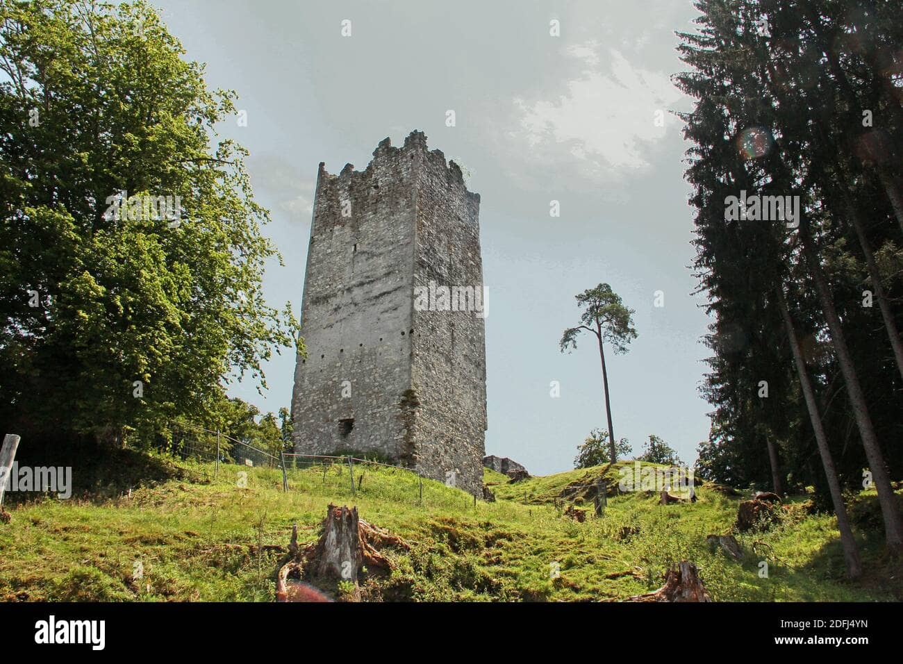 Castle Ruins Ambiance