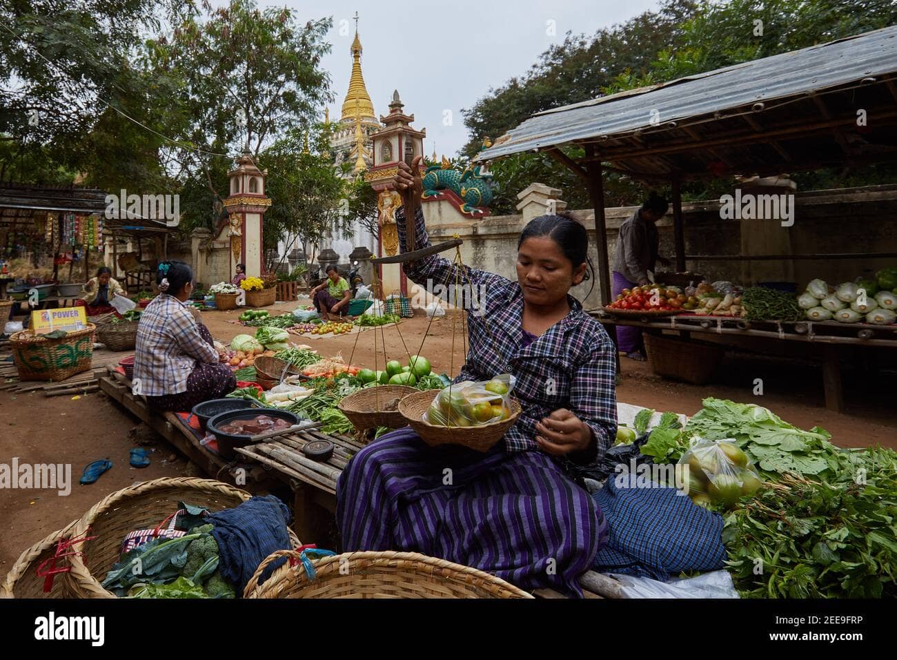 Local Markets