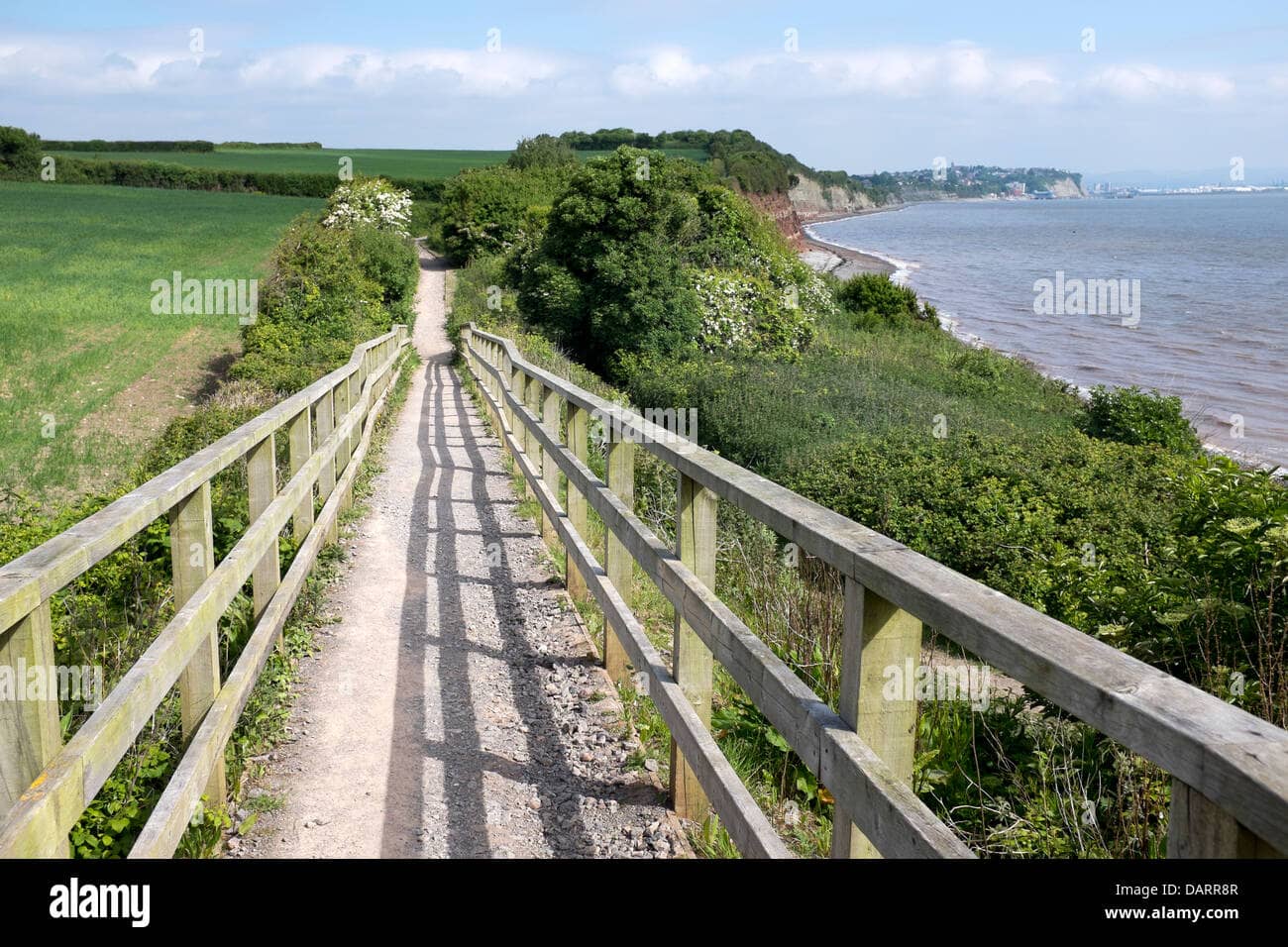 Coastal Walk