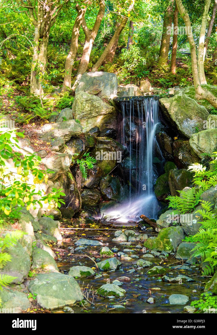 Waterfall Views