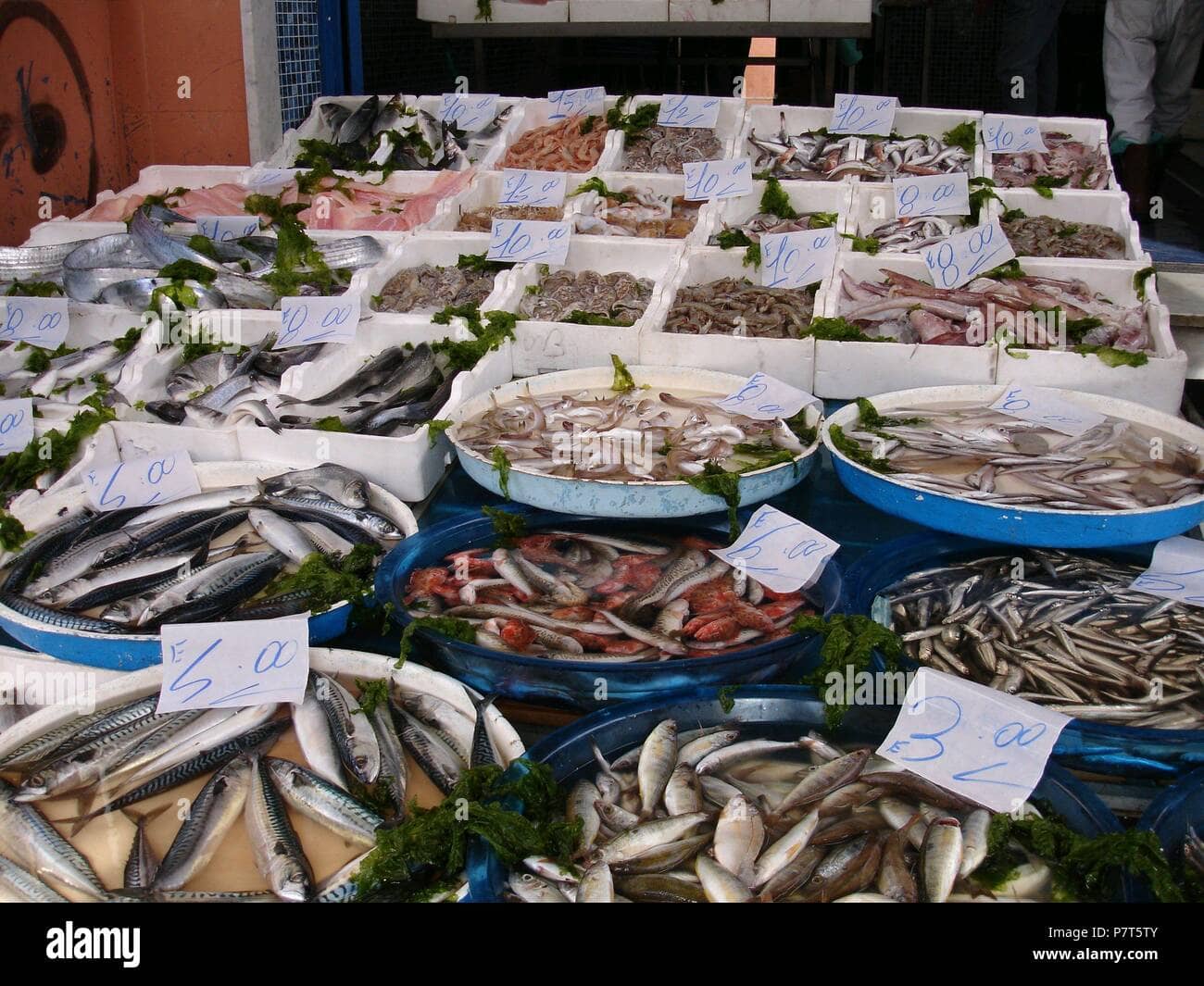 Fresh Seafood Delights