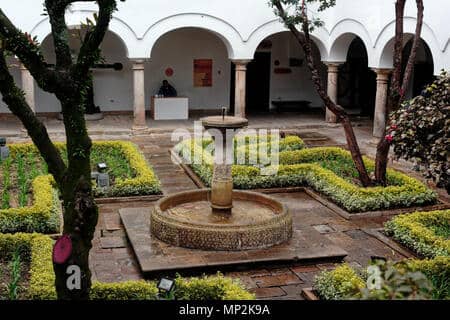 Tranquil Courtyard