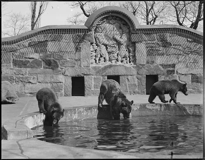 Historic Bear Dens