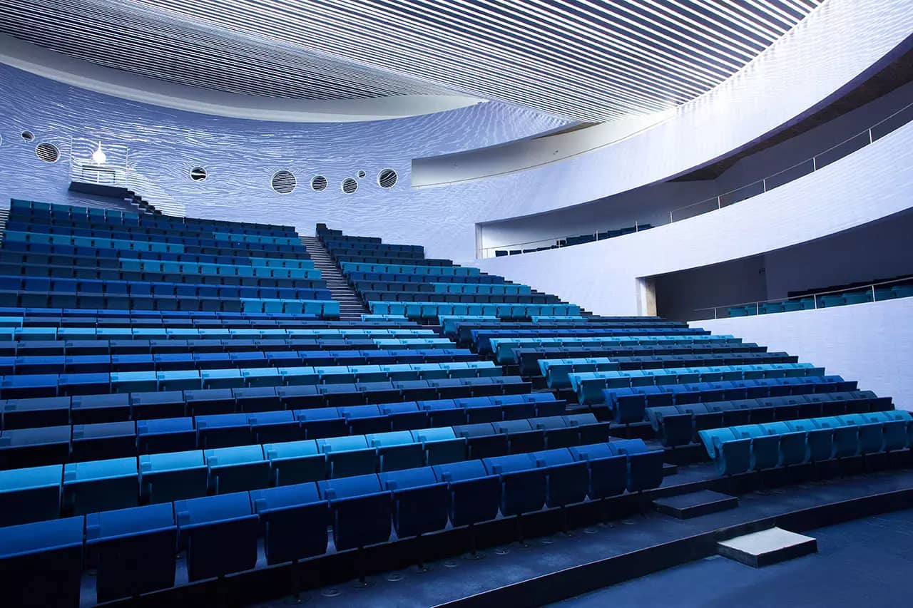 Concerts and Live Performances