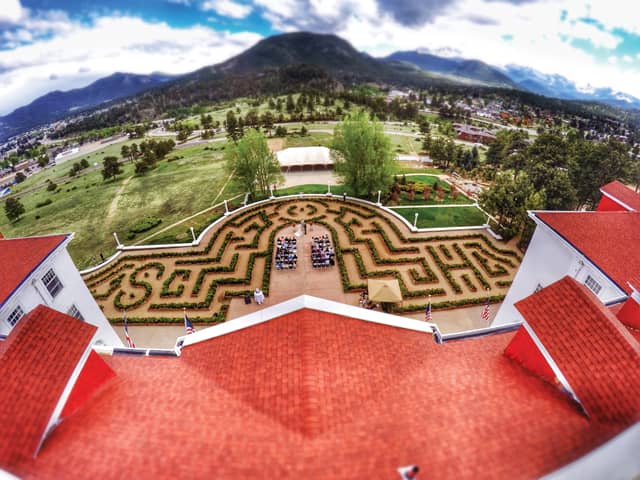 The Hedge Maze