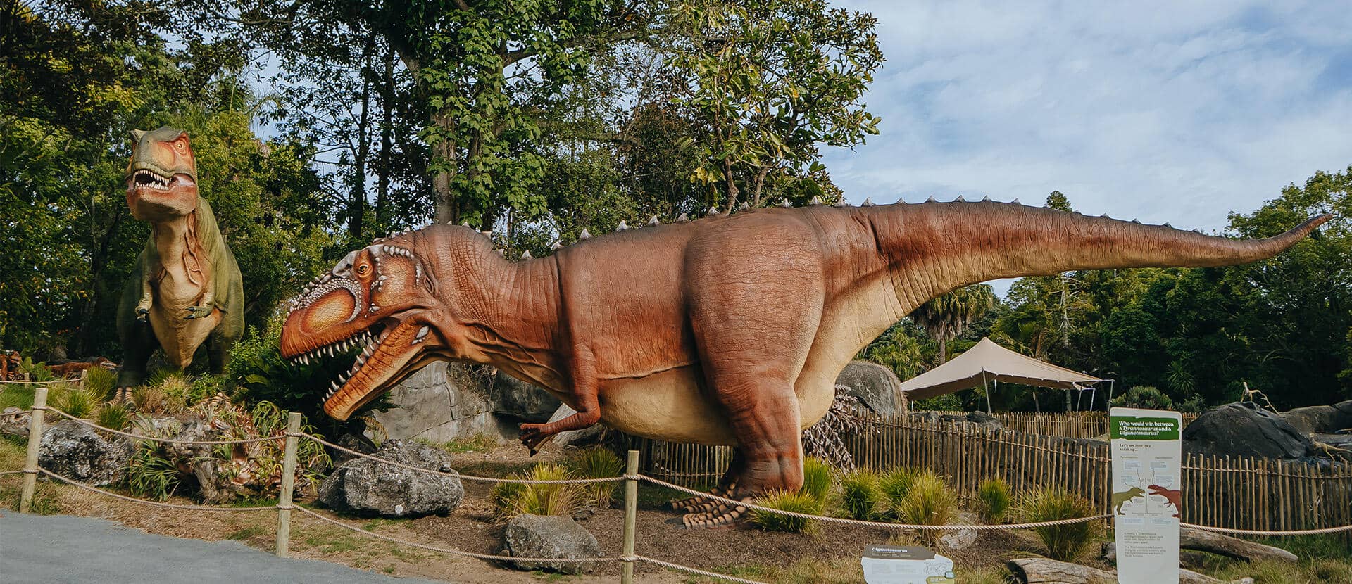 Dinosaur Discovery Track
