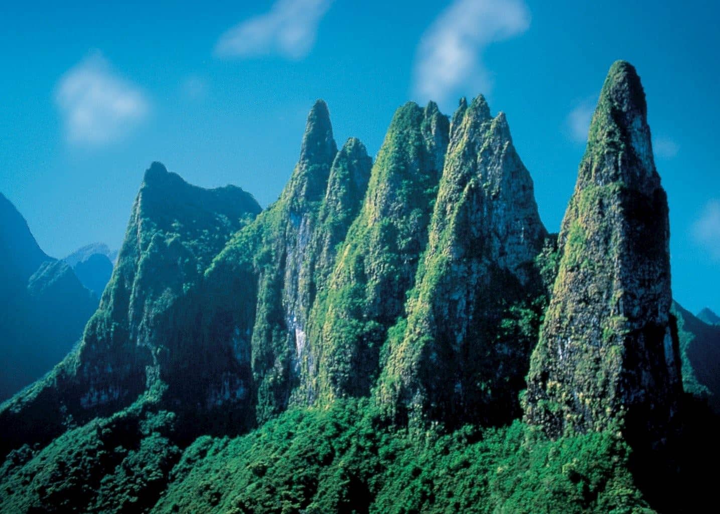 Lush Tropical Landscape