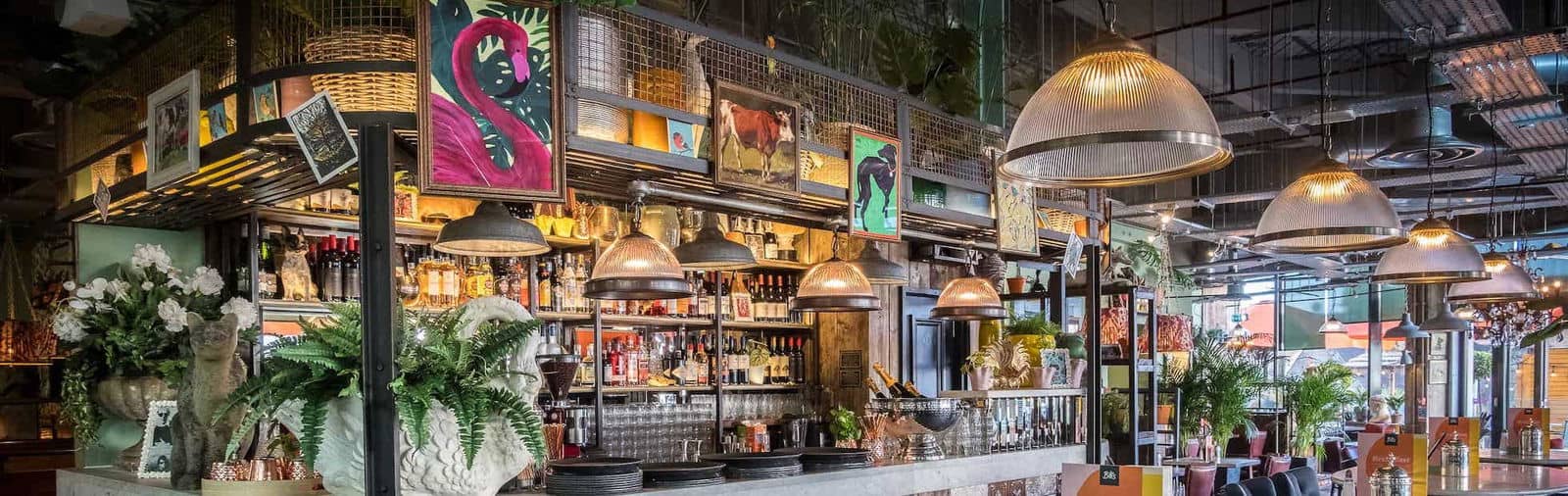 Diverse Dining Options