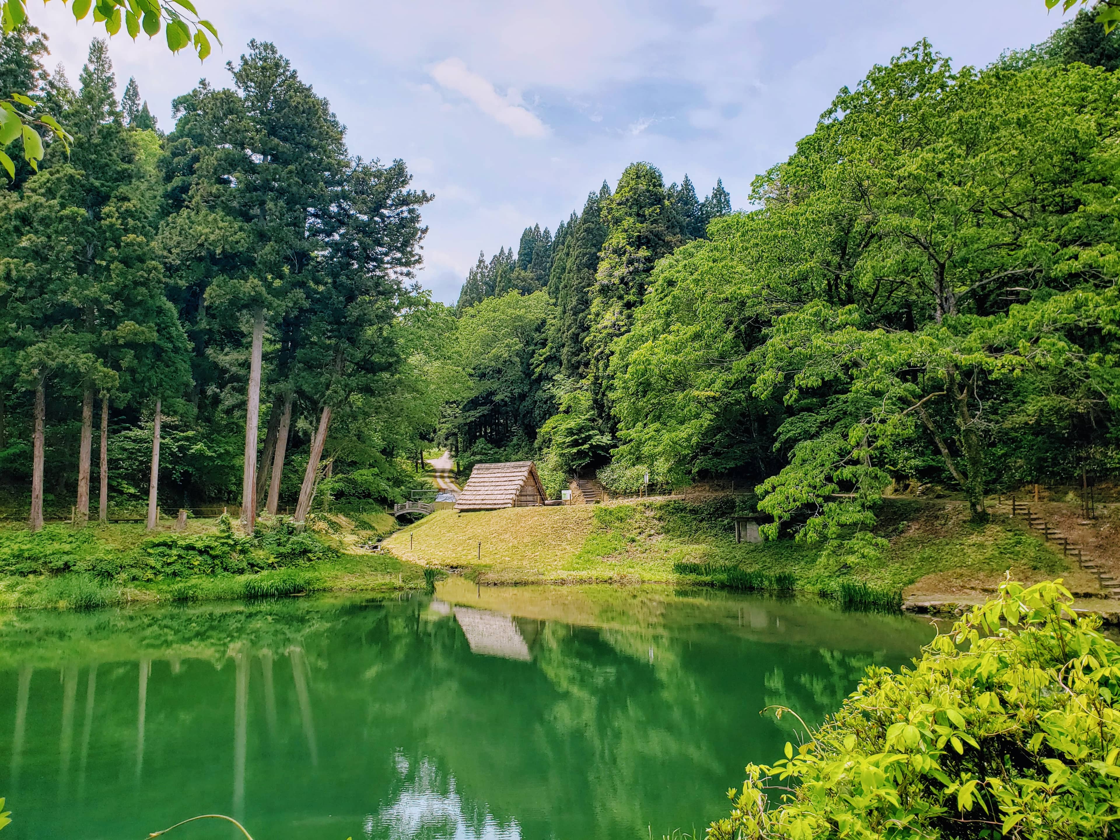 Scenic Natural Surroundings