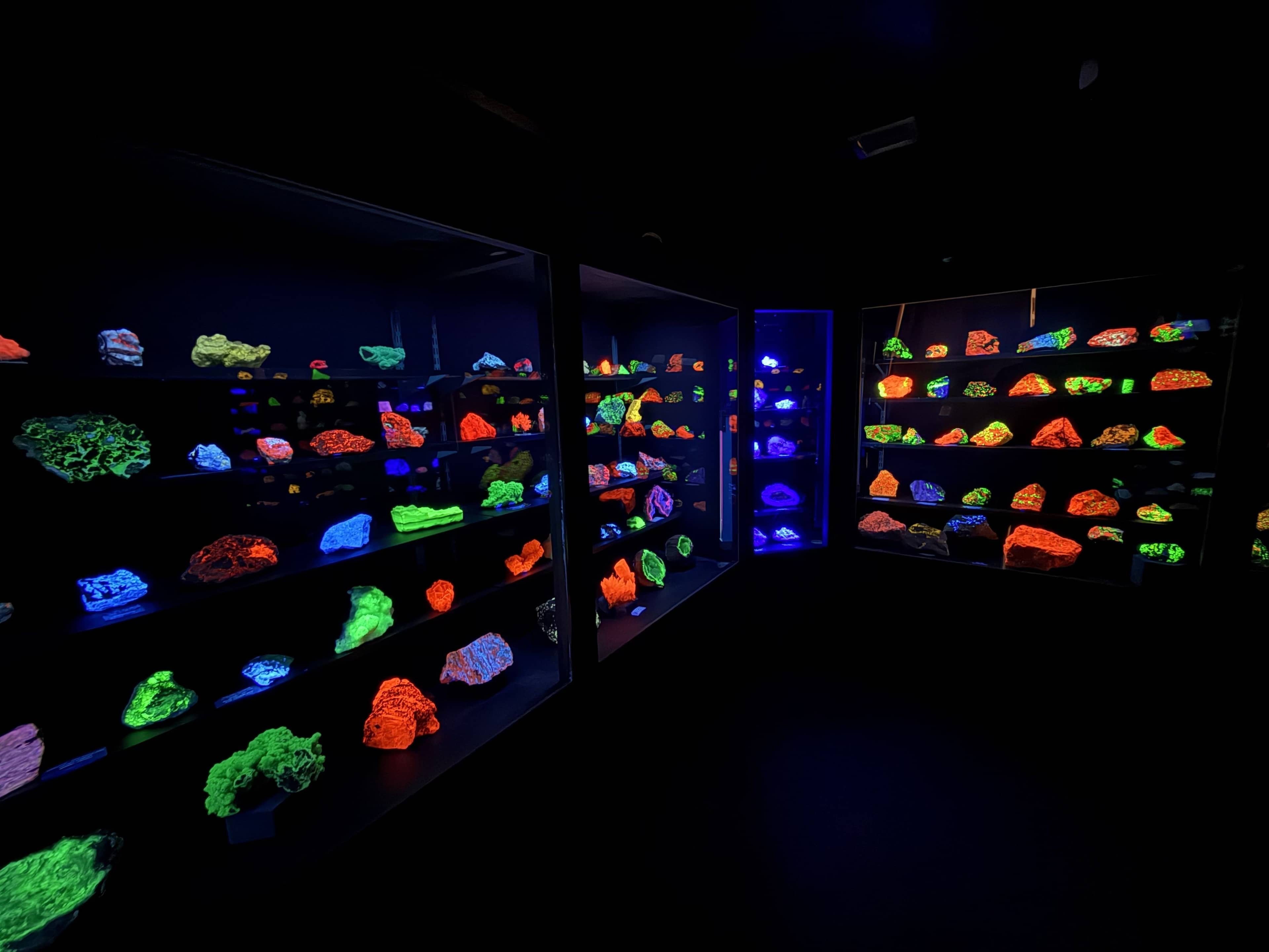 Blacklight Mineral Room
